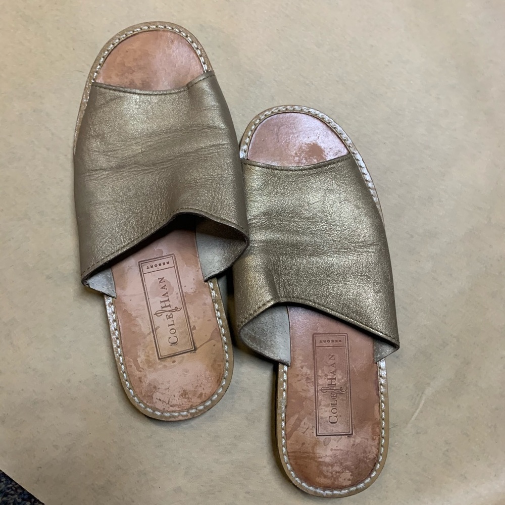 Cole Haan slip on Sandler